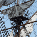 Sail Amsterdam 2015