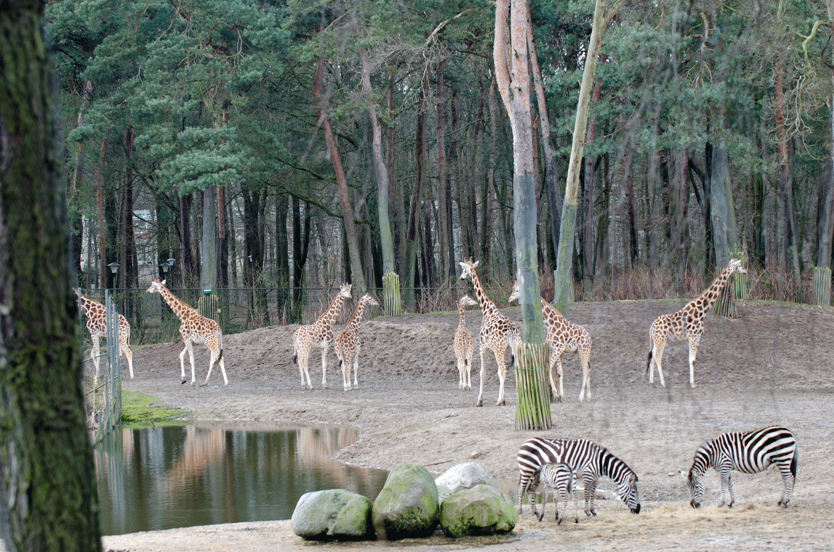 Burgerzoo Arnhem